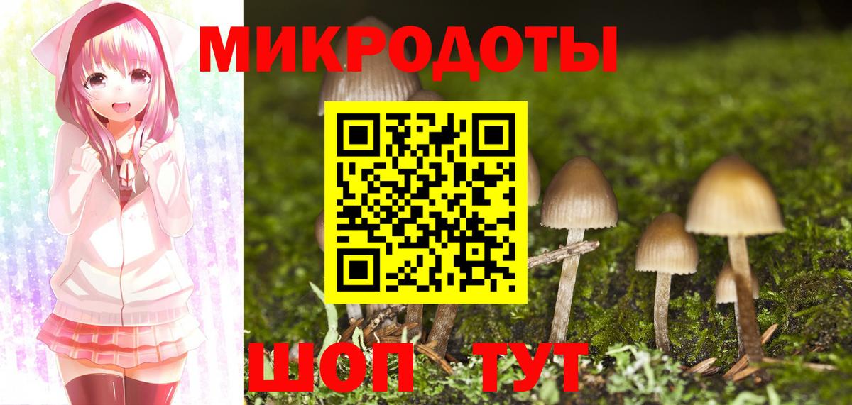 Россия  Галлюциногенные грибы Cubensis  закладка  Вход с VPN 